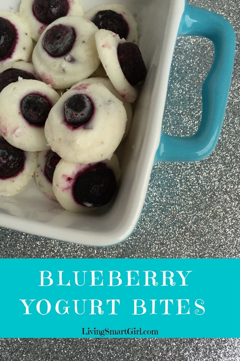 Keto Blueberry Yogurt Bites - Living Smart Granola