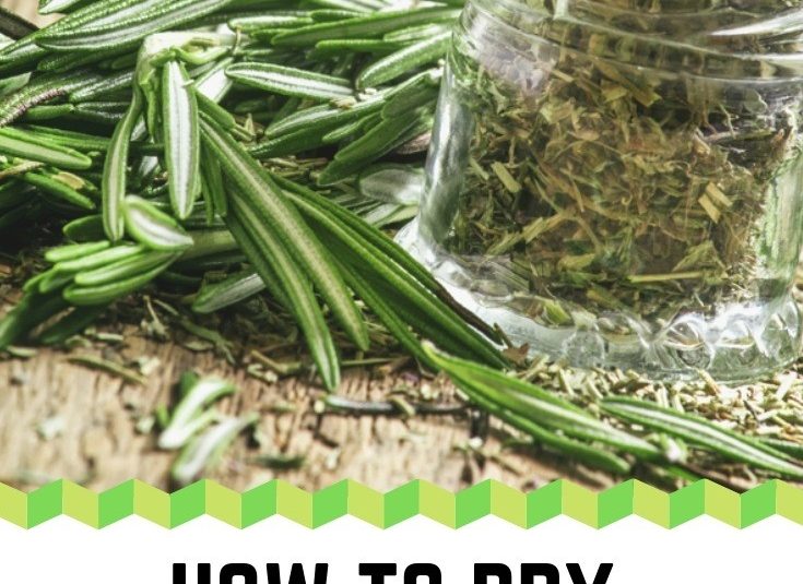 How to Dry Rosemary for Cooking