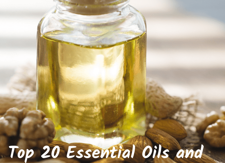 Top 20 Essential Oils and What They Are Used For