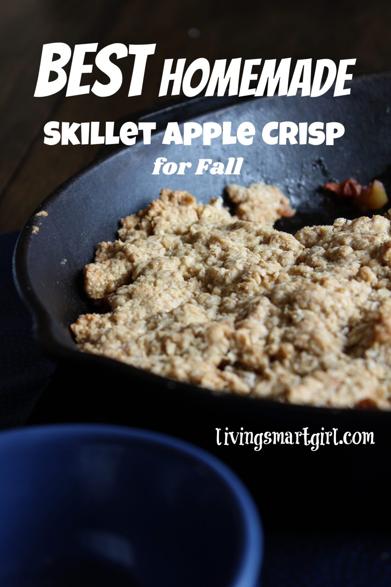 Best Homemade Skillet Apple Crisp